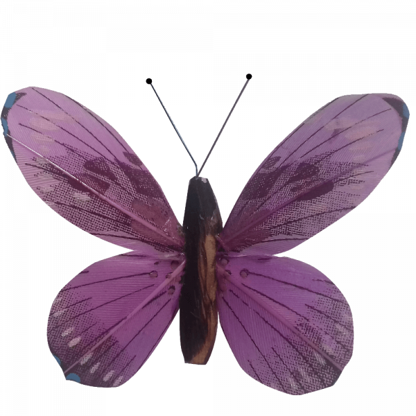 Papillon Animé Ailes Violettes Flambée Printanière