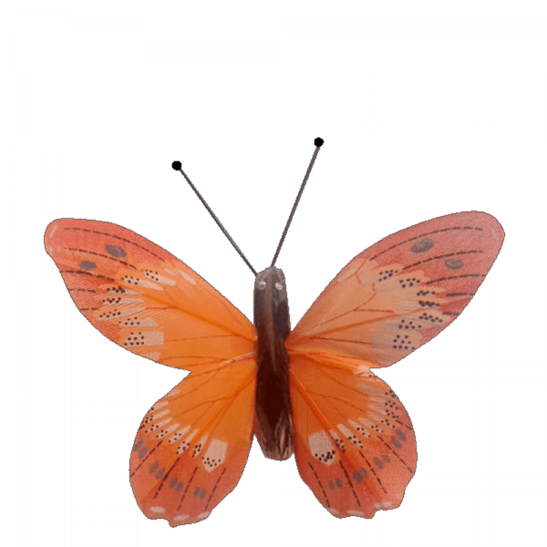 Papillon Écologique Plume Inox Ailes Fier Albatros Orange