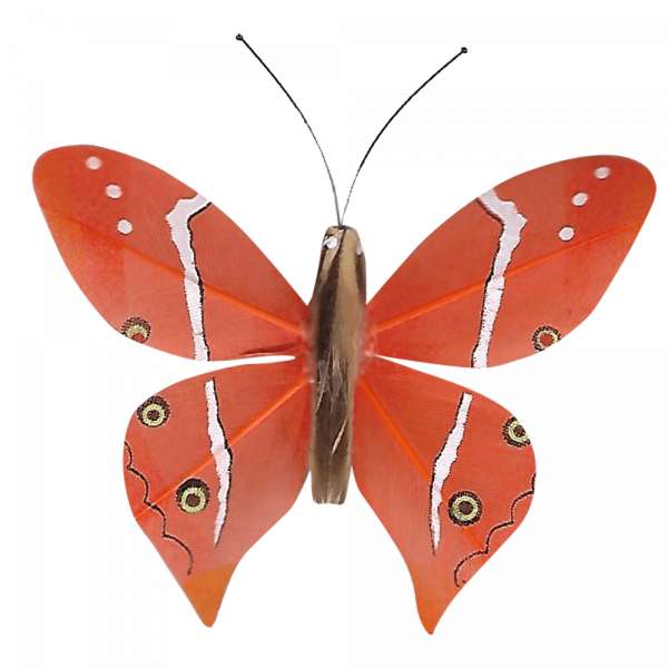 Papillon Animé Ailes Paon Boisé Orange