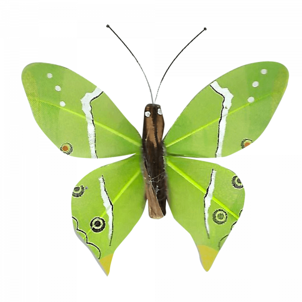 Papillon Animé Ailes Paon Boisé Vert