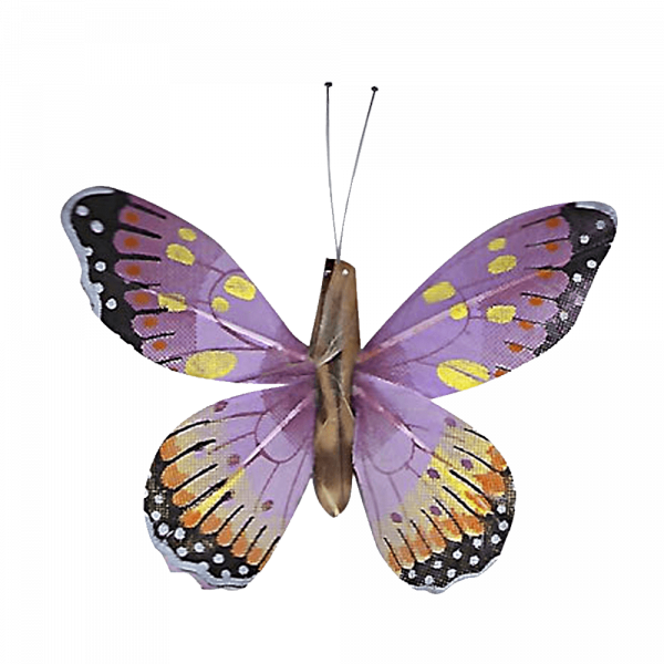 Papillon Animé Ailes Violettes Marbré Espagnol