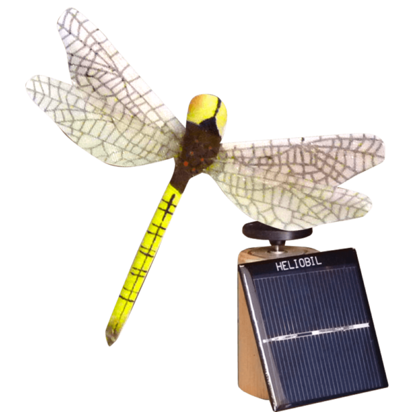 Deco Nature Energie Solaire Libellule Brun Jaune