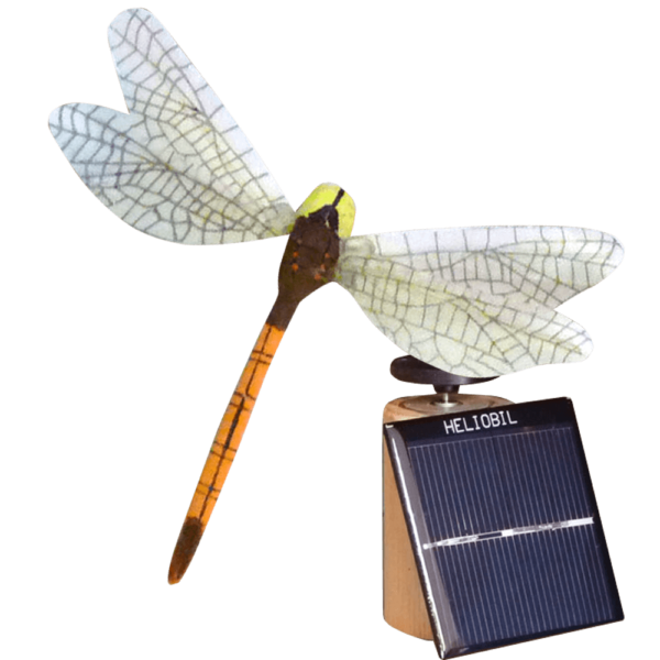 Deco Nature Energie Solaire Libellule Brun Orange
