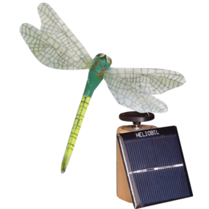 Deco Nature Energie Solaire Libellule Vert Anis