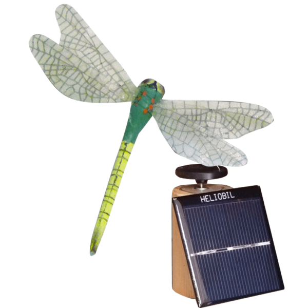 Deco Nature Energie Solaire Libellule Vert Anis